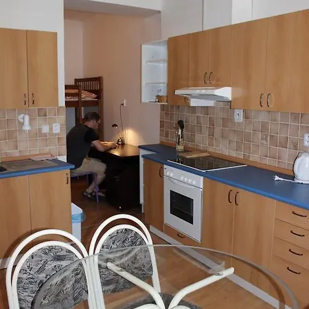 Apartment Penzion Gomelska *