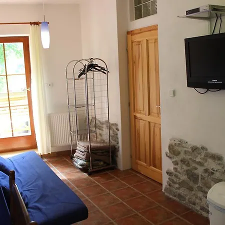 Apartment Penzion Gomelska *