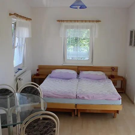 Apartment Penzion Gomelska Horni Stropnice