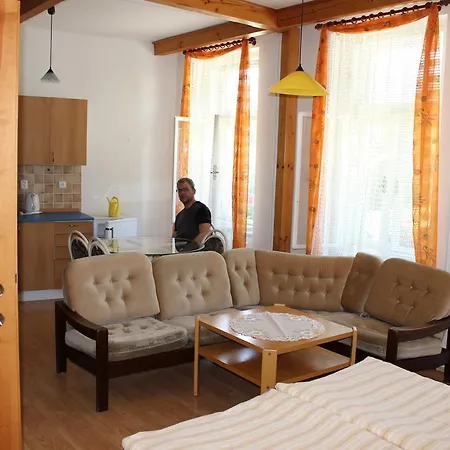 Apartment Penzion Gomelska *