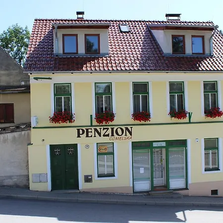 Apartment Penzion Gomelska