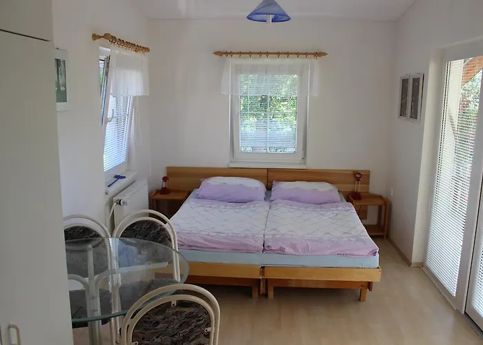 Apartment Gomelska Horni Stropnice