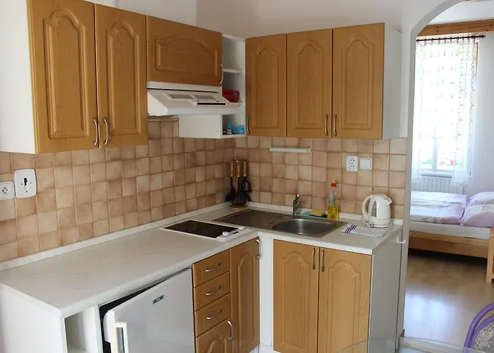 Apartment Gomelska Horni Stropnice